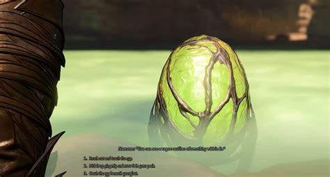 Steal a Githyanki Egg Side Quest: Should You Give the Egg to。